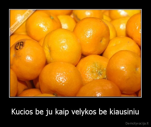 Kucios be ju kaip velykos be kiausiniu