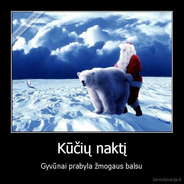 Kūčių naktį