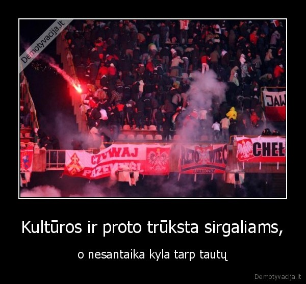 idiotai,minia