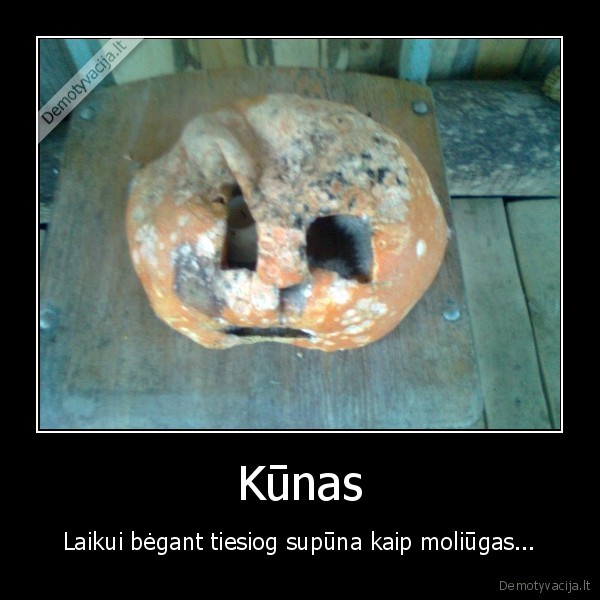 Kūnas