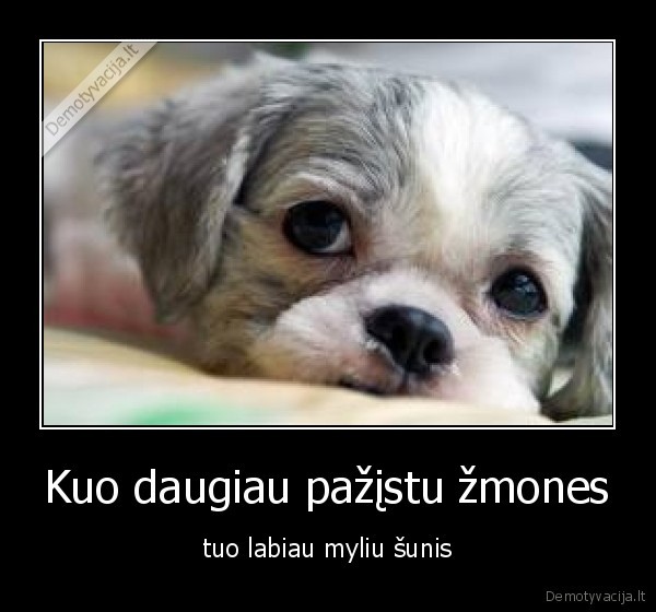 sunys,sunis