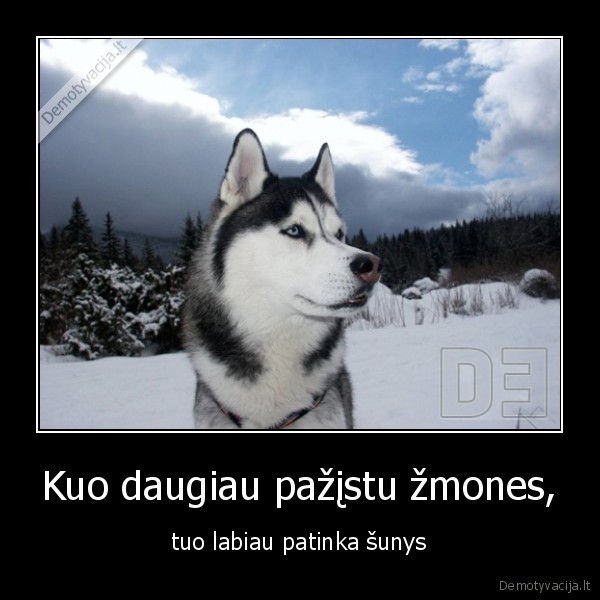 sunys, zmones, like, like, like