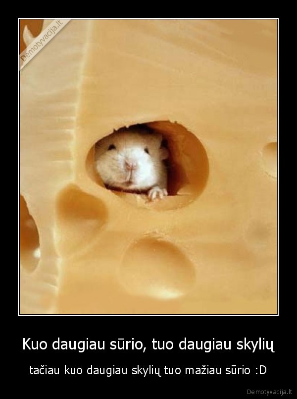 Kuo daugiau sūrio, tuo daugiau skylių
