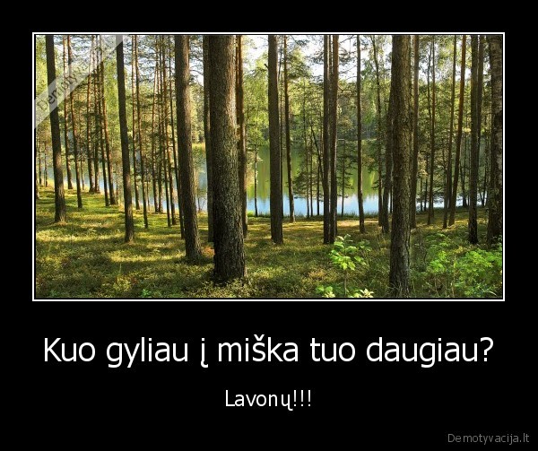 Kuo gyliau į miška tuo daugiau?