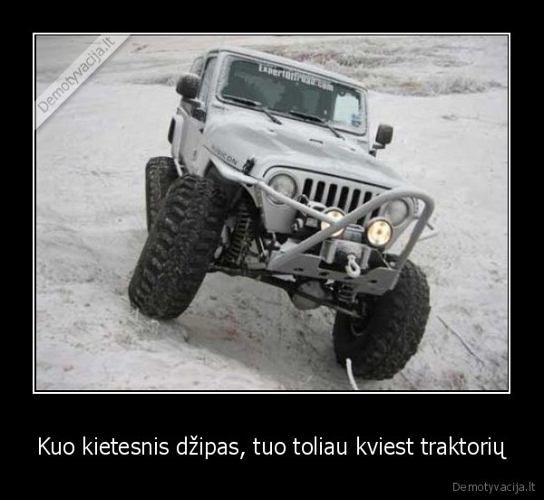 dzipas, ziema