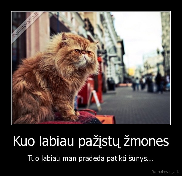 katino, mintys,patikimas,zmones