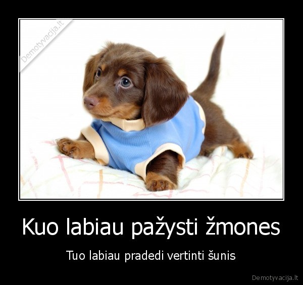 gyvunai