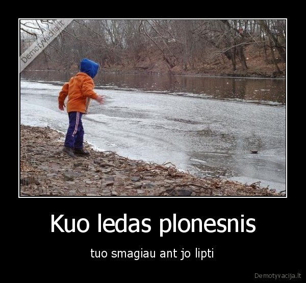 ledas