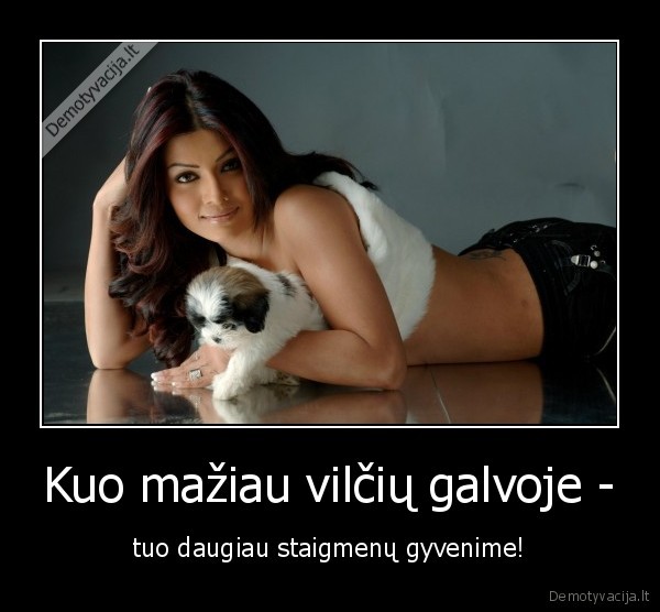 viltys,staigmenos,gyvenimas,mergina,suo