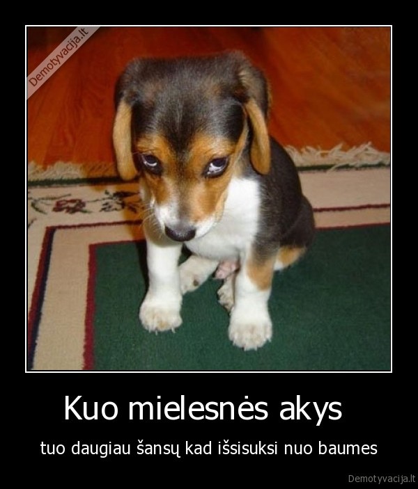 suo,linksmas, 