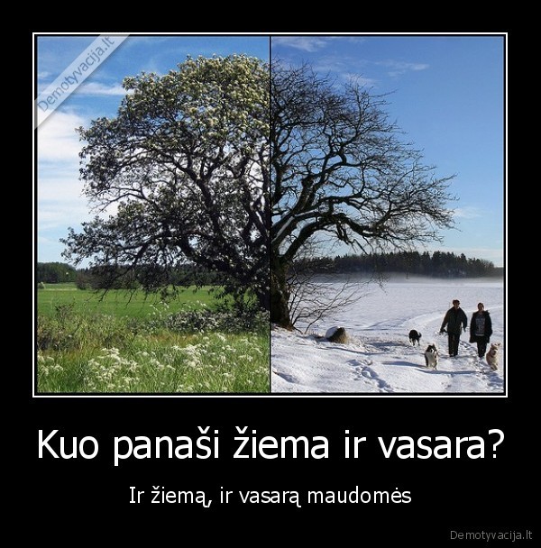 ha, ha