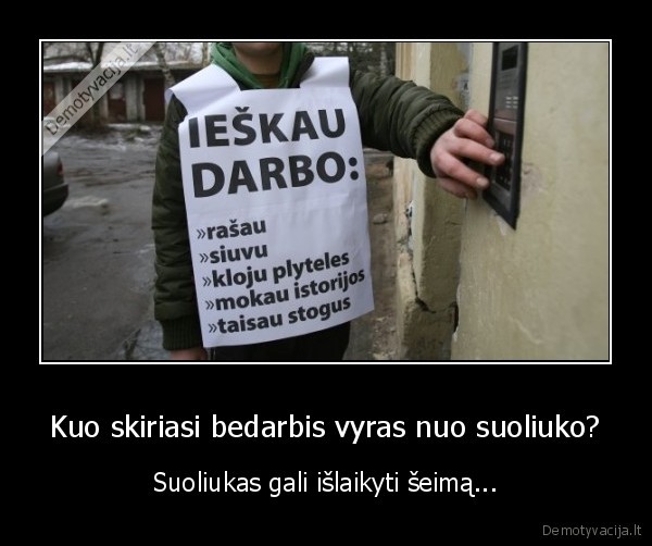 bedarbis