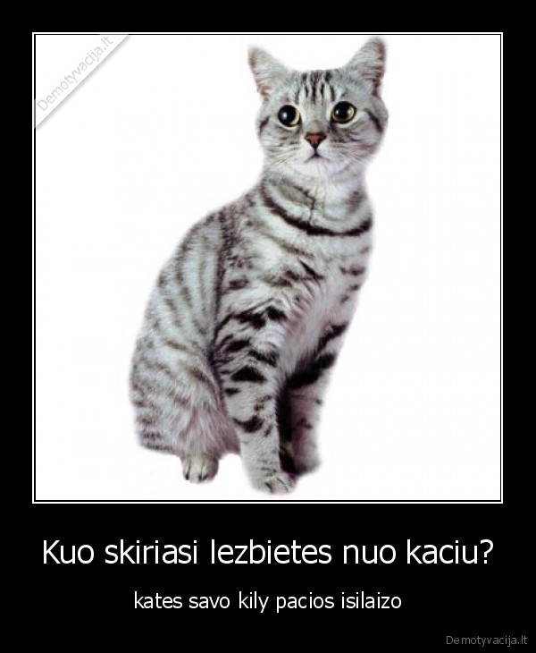 Kuo skiriasi lezbietes nuo kaciu?