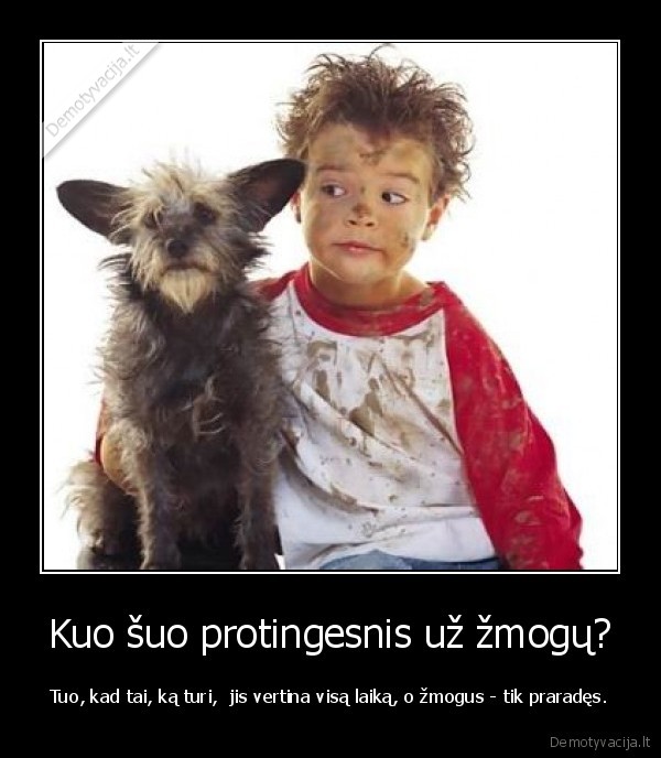Kuo šuo protingesnis už žmogų?