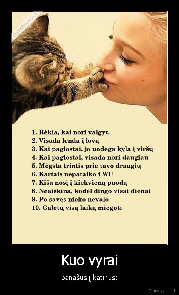 katinas,vyras,panasumai