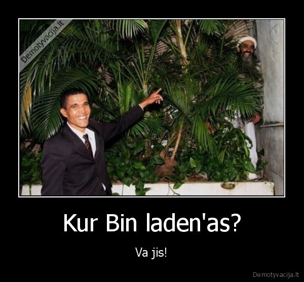 Kur Bin laden'as?