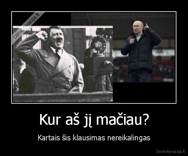 politika