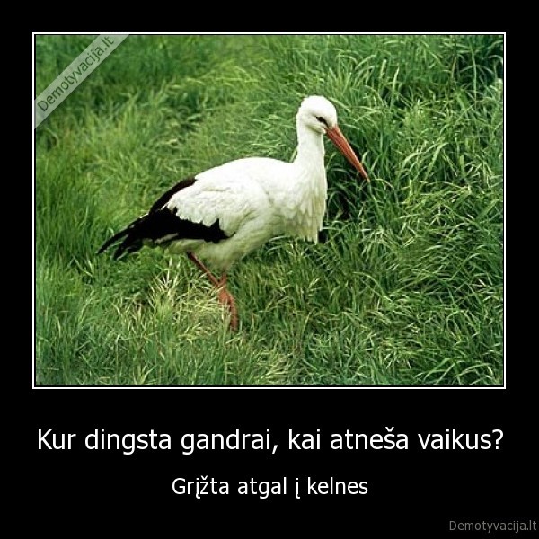 gandras,vaikai
