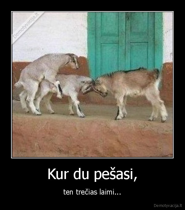 Kur du pešasi,