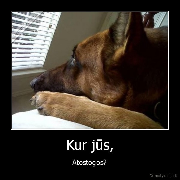 vasara,atostogos,laukimas,nuovargis