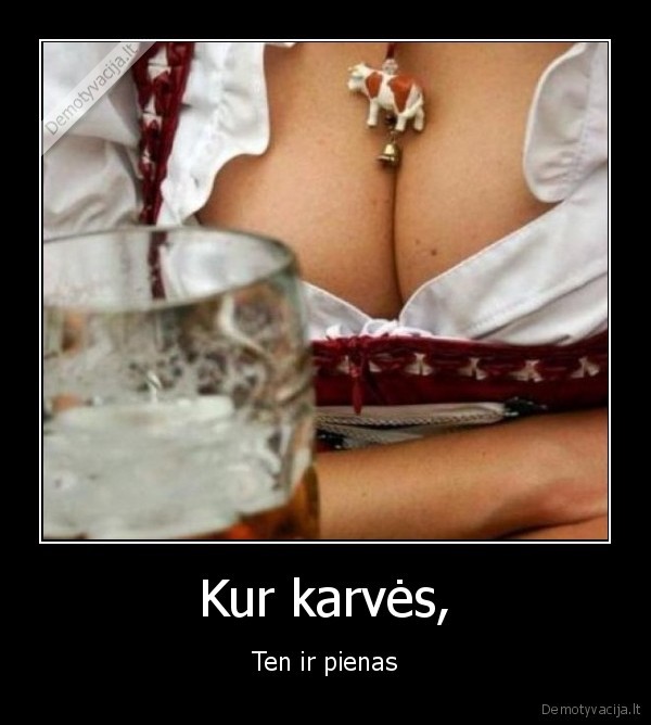 Kur karvės,