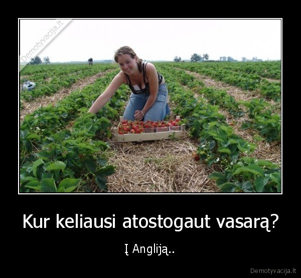 Kur keliausi atostogaut vasarą?