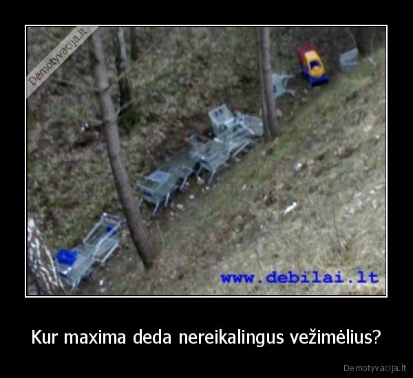 Kur maxima deda nereikalingus vežimėlius?