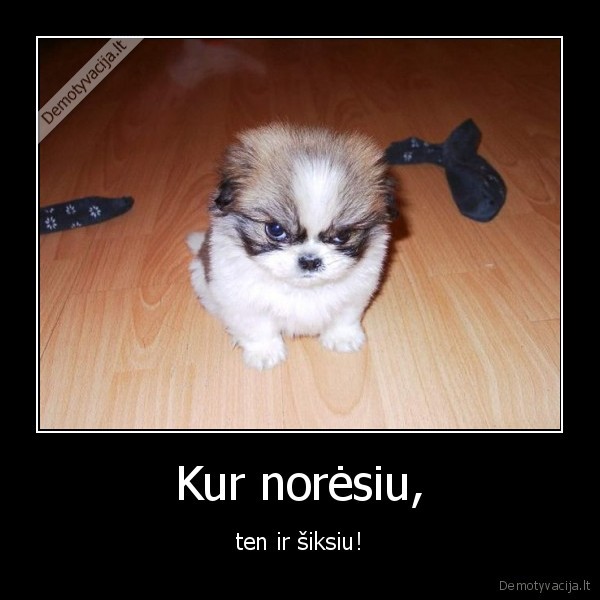 suo,gyvunai