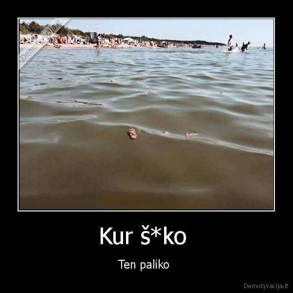 Kur š*ko 