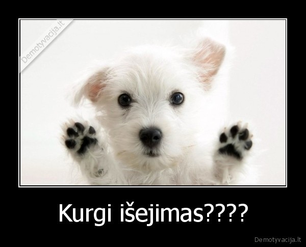 Kurgi išejimas????