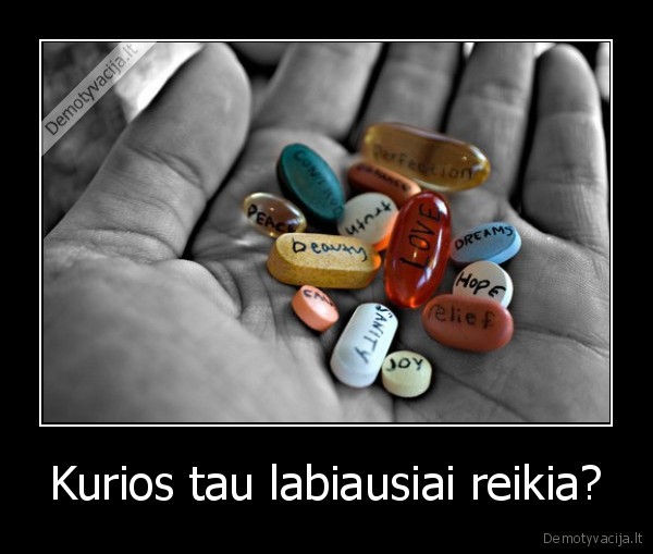 Kurios tau labiausiai reikia?