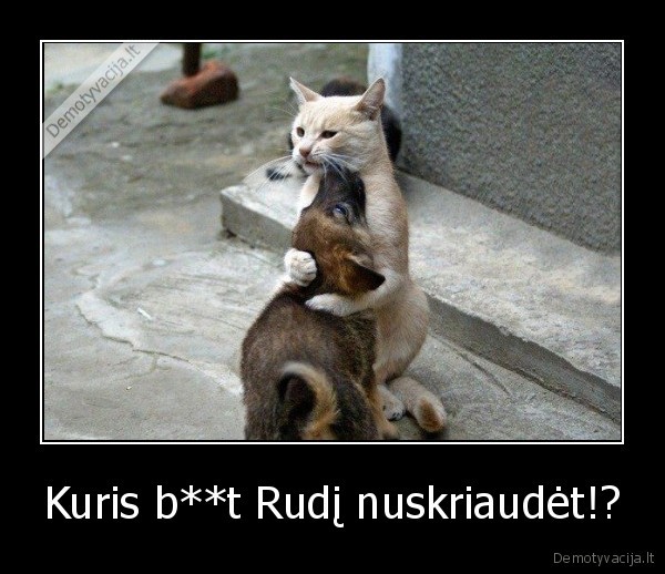 Kuris b**t Rudį nuskriaudėt!?