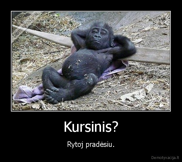 kursinis,studentai,pradesiu,paskutine, naktis