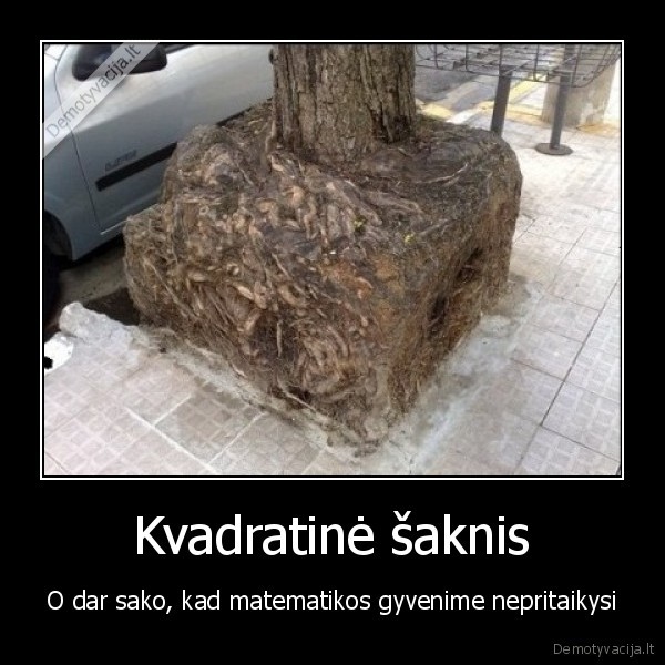 medis,saknis