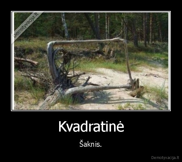saknis,matematika,medis