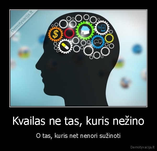 zinojimas,kvailyste