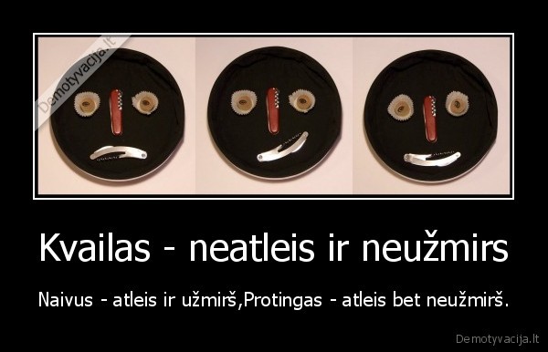Kvailas - neatleis ir neužmirs