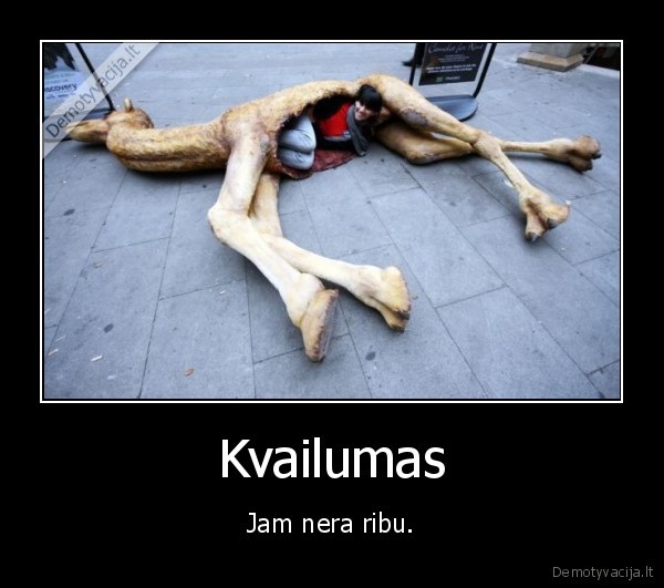 Kvailumas