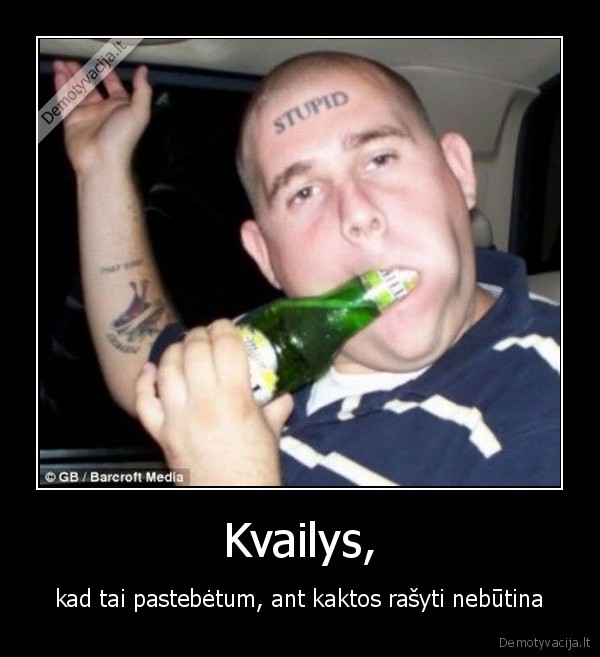 Kvailys,