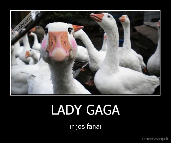 LADY GAGA