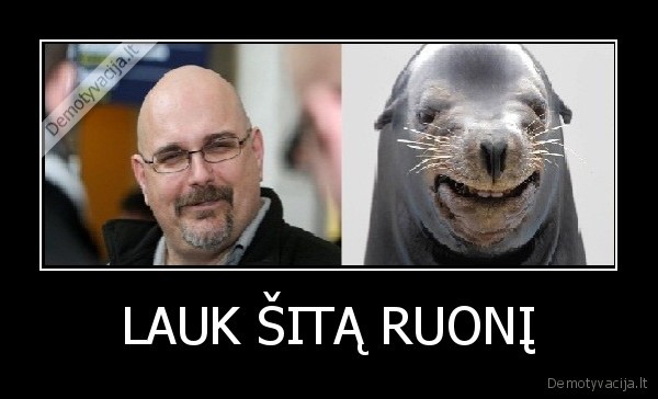 LAUK ŠITĄ RUONĮ