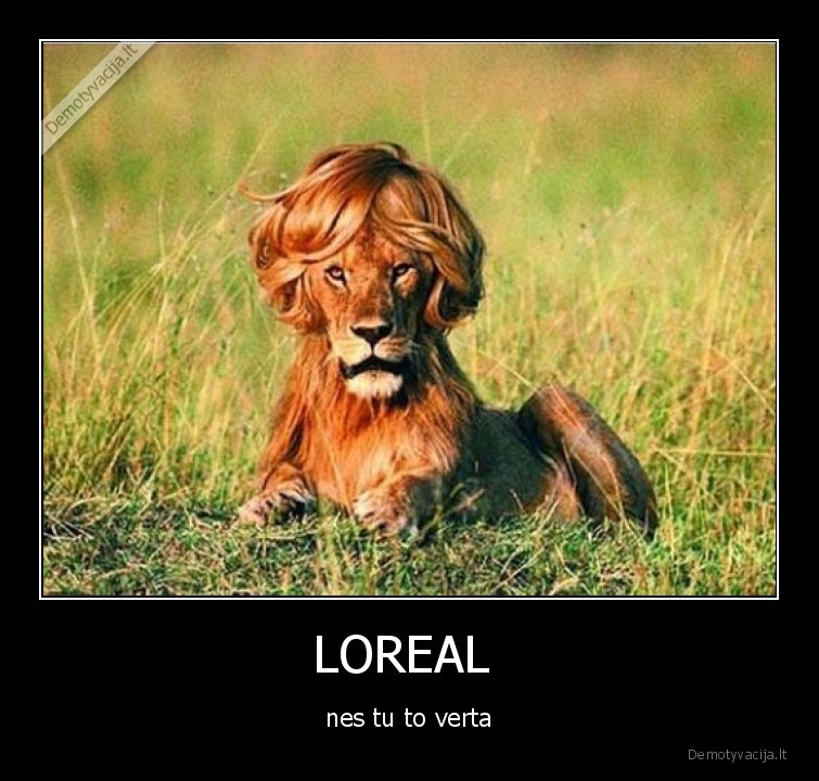 loreal,liutas,plaukai,sampunas