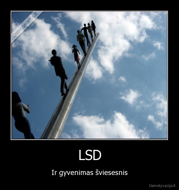 lsd,narkotikai,rojus