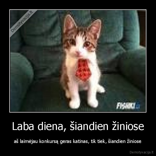 kate, ziniose