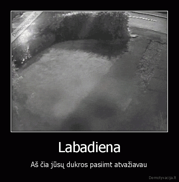 pasimatymas,avarija,neprisiseges, dirzo