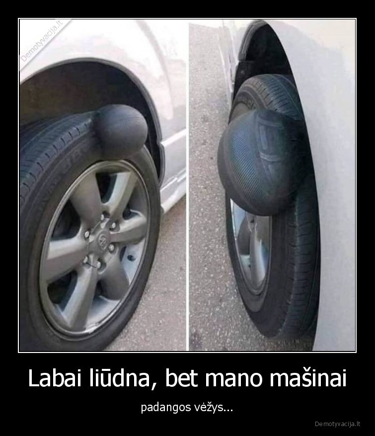 vezys,padanga,masina