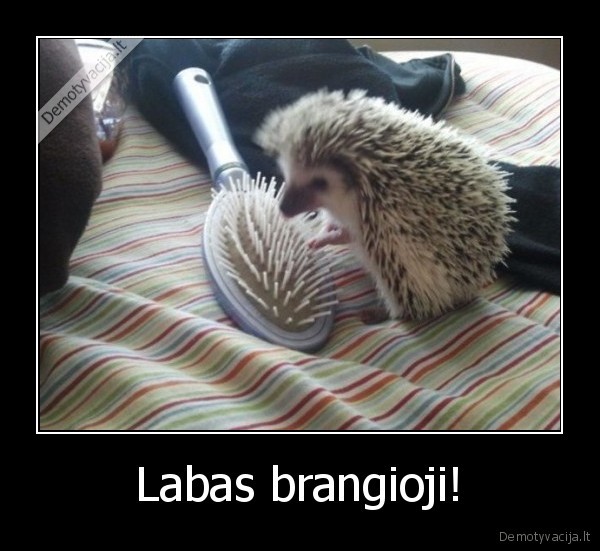 Labas brangioji!