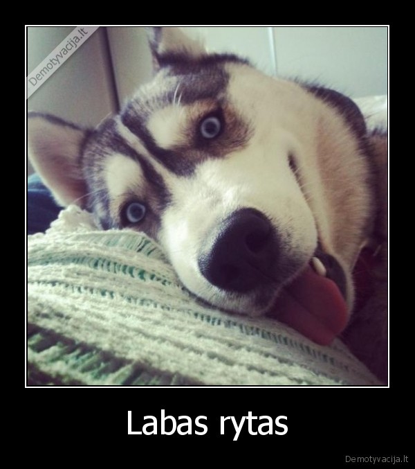 Labas rytas