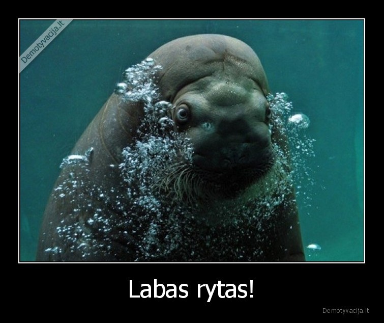 labas,rytas,po, vandeniu