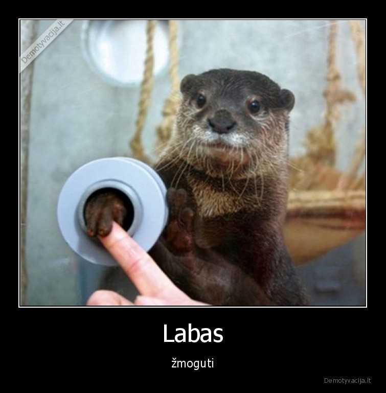 zmogutis,zmogus,labas,udra